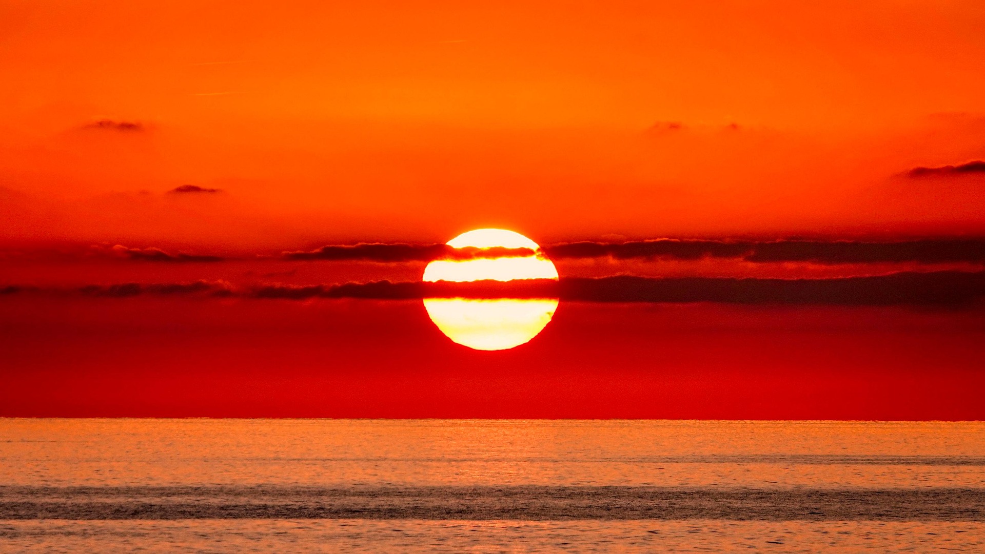 Nature photography entry
