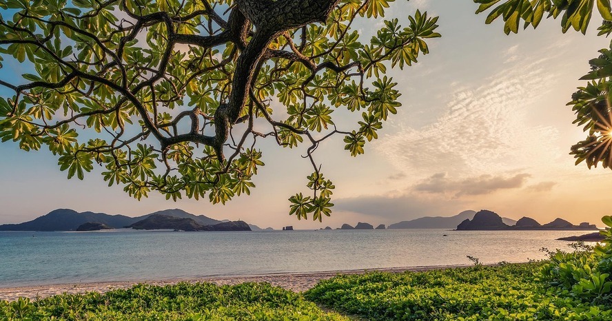 Nature photography example
